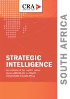 Strategic Intelligence Report