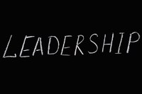 An analysis of the competency levels of senior managers in South African municipalities