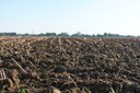 Court prohibits traditional authorities from developing land without the approval of the municipality