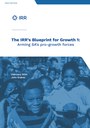 The IRR’s Blueprint for Growth 1: Arming SA's Pro-Growth Forces