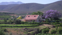 Du'SwaRoo Wine & Olive Farm