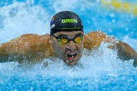 Fit-again Le Clos and Van Niekerk return, targeting world short course champs