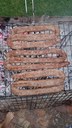 boerewors_onthebraaicooked.jpg