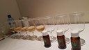 20200624_070306.jpg