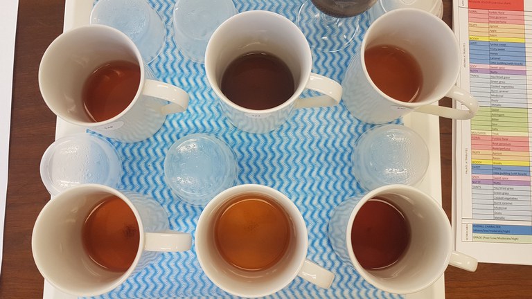 tea_6_samples_feb2021.jpg