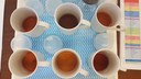 tea_6_samples_feb2021.jpg