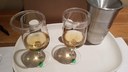 twoglasses_spittoon_20200617_103756.jpg