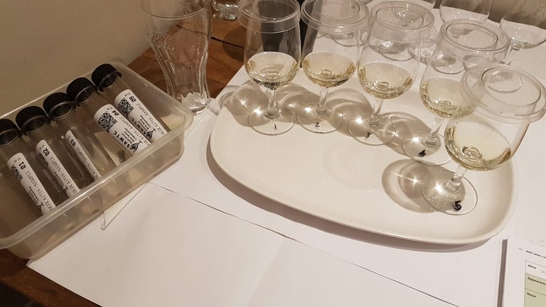 sawtc_glasses and white wine tubes.jpeg